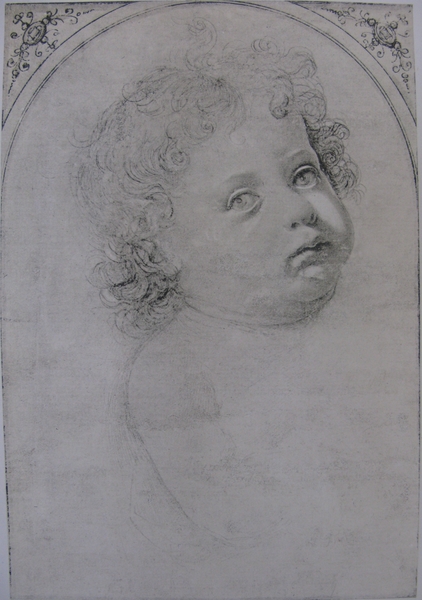 Head of a Baby